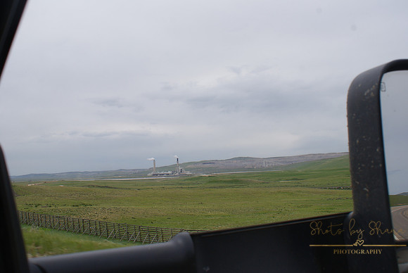 DSC08890