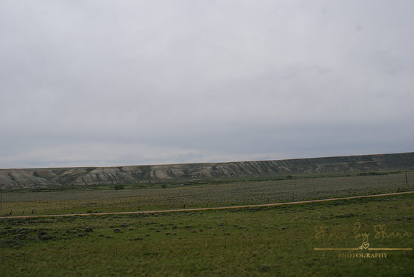 DSC08897