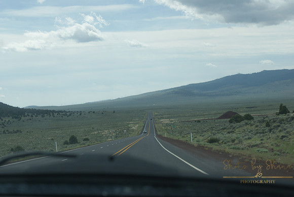 DSC08695
