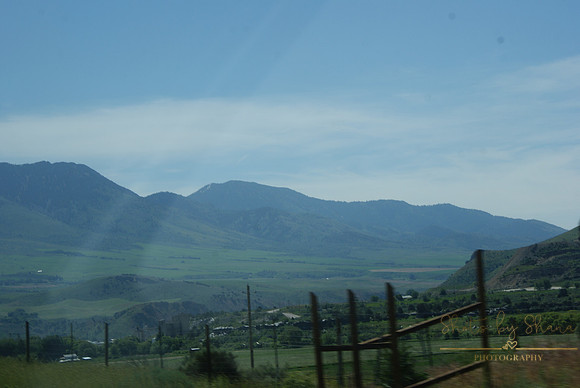 DSC08781
