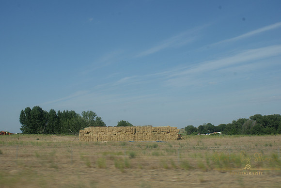 DSC08736