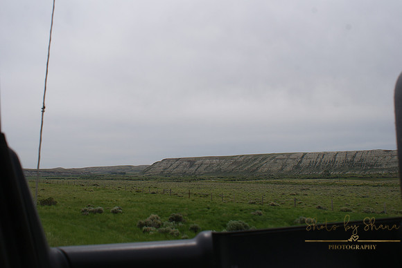 DSC08898