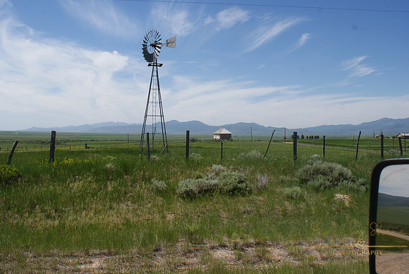DSC08802