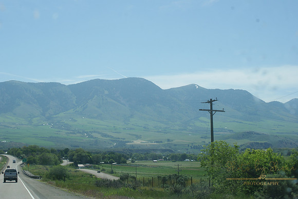 DSC08779
