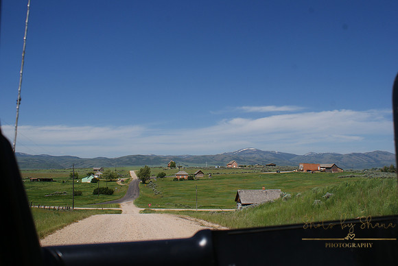 DSC08800