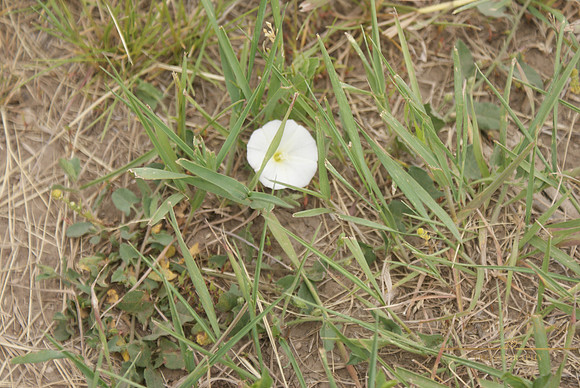 DSC08833