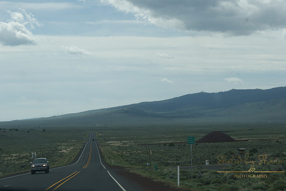 DSC08696
