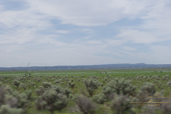 DSC08706