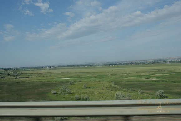 DSC08729