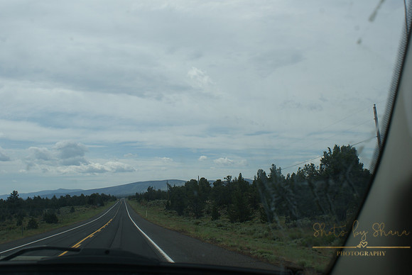 DSC08688