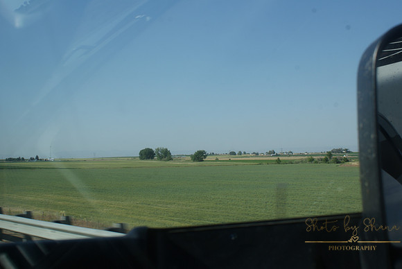 DSC08738