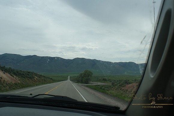 DSC08880