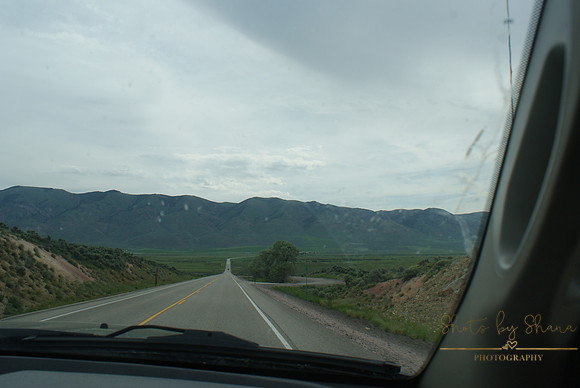 DSC08879