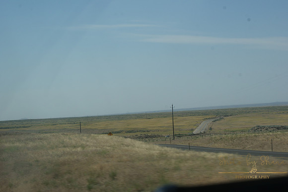 DSC08744