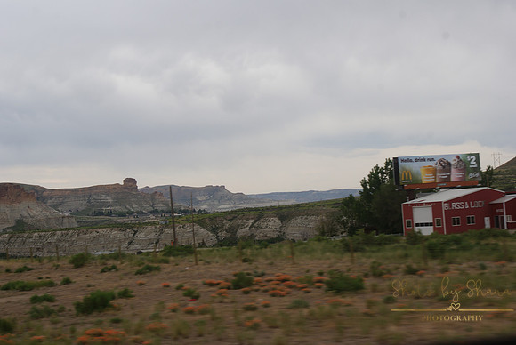 DSC08910