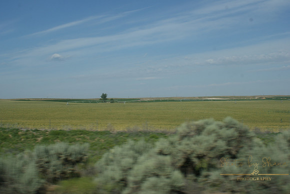 DSC08732