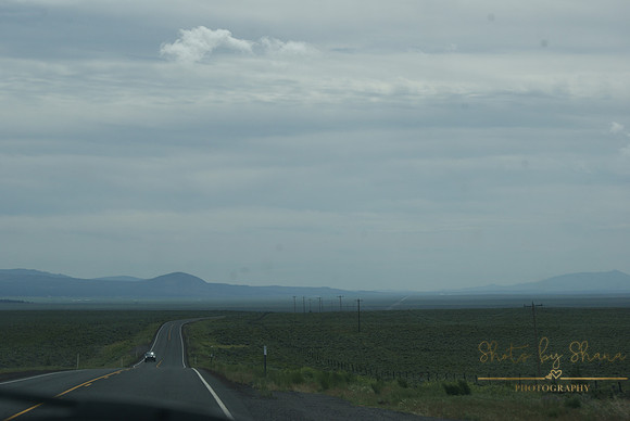 DSC08700