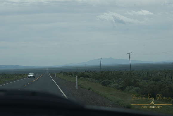 DSC08702