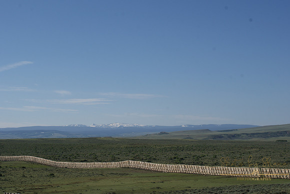 DSC08935