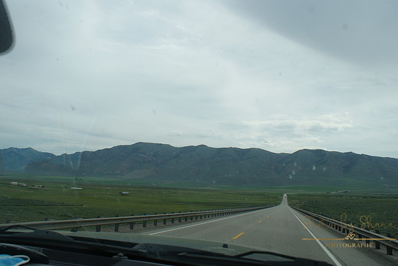 DSC08881