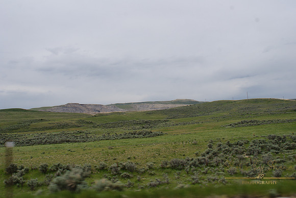 DSC08888