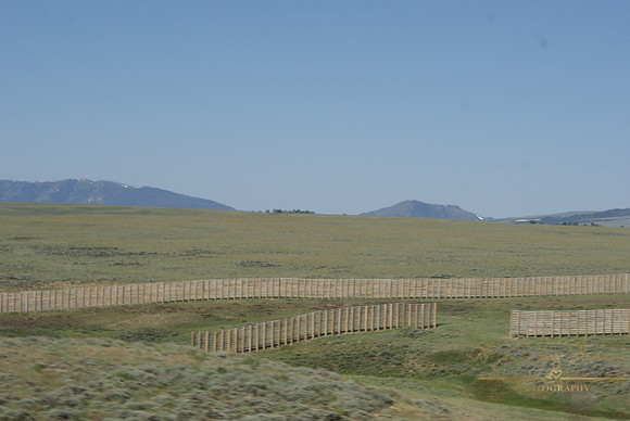 DSC08940