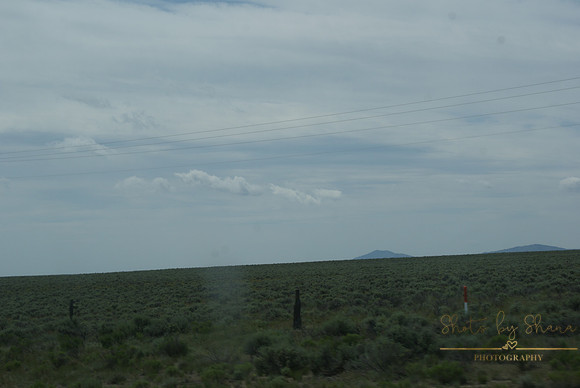 DSC08699