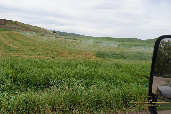 DSC08869
