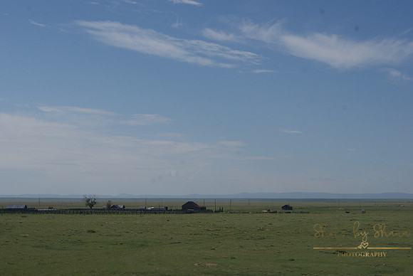 DSC08947