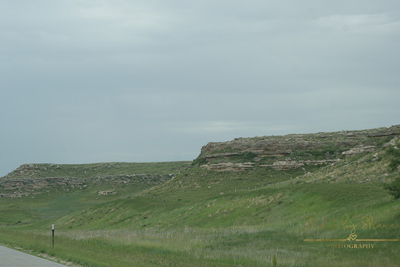 DSC08961