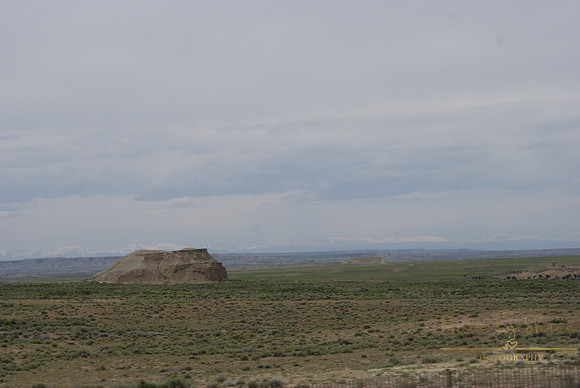 DSC08905