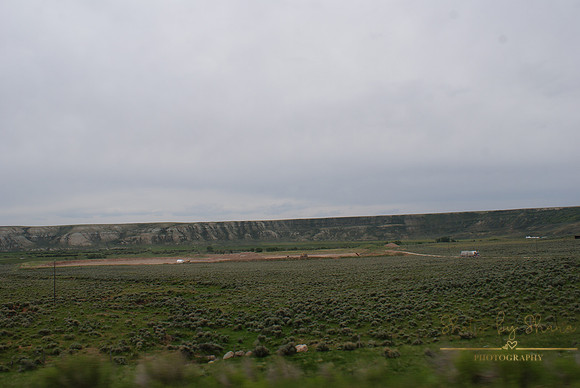 DSC08896