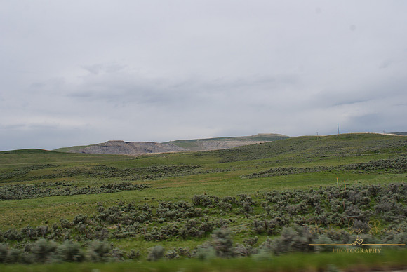 DSC08887
