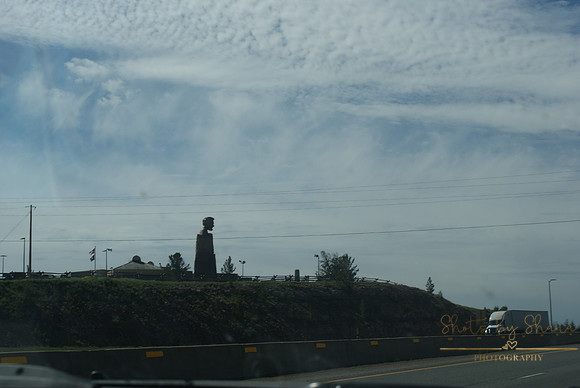DSC08951