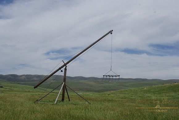 DSC08866