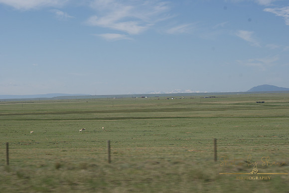DSC08946