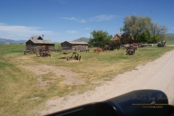 DSC08796