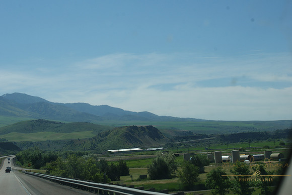 DSC08783