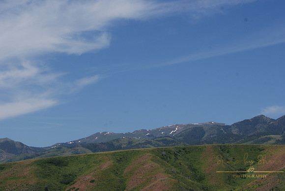 DSC08785