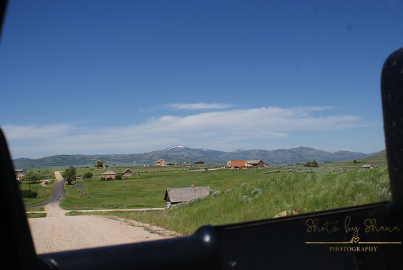 DSC08801
