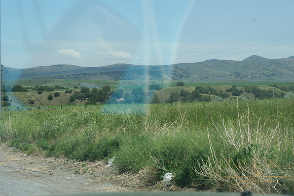 DSC08769