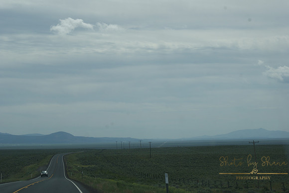 DSC08701
