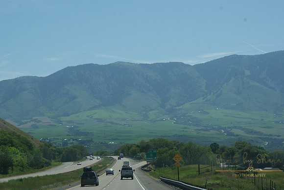 DSC08780