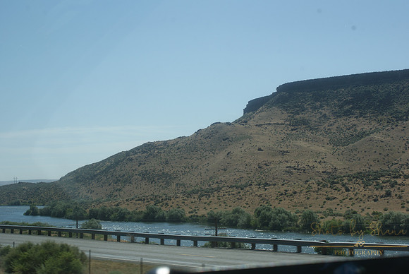 DSC08750