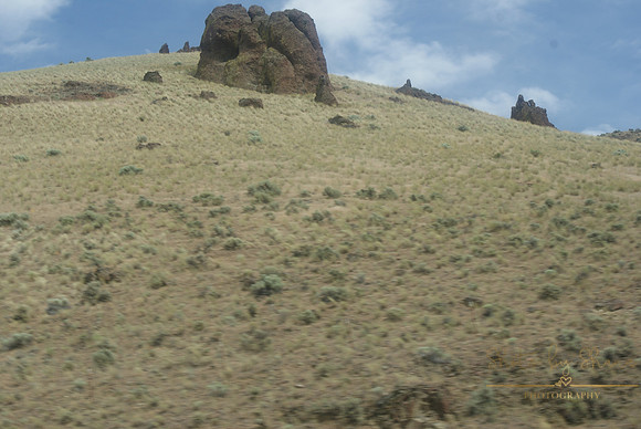 DSC08720