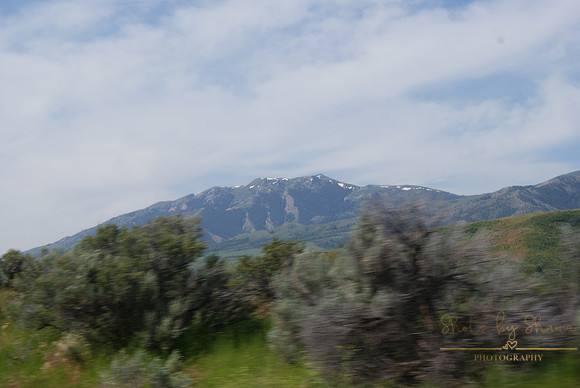 DSC08784