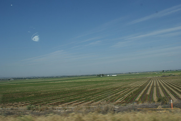 DSC08740