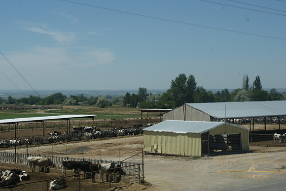 DSC08759